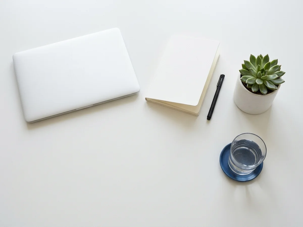 A laptop, notebook and plant on a bright desk